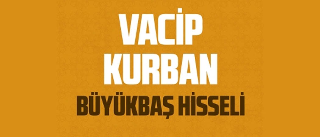 Vacip Kurban Büyükbaş Hisseli